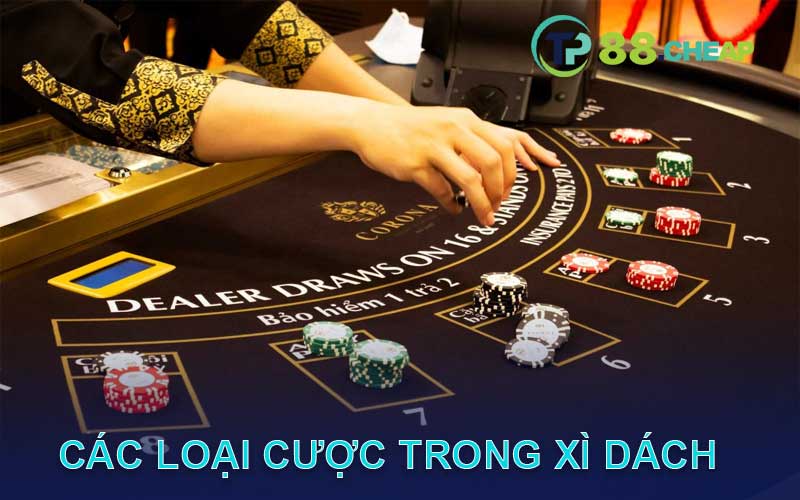 các loại cược trong xì dách