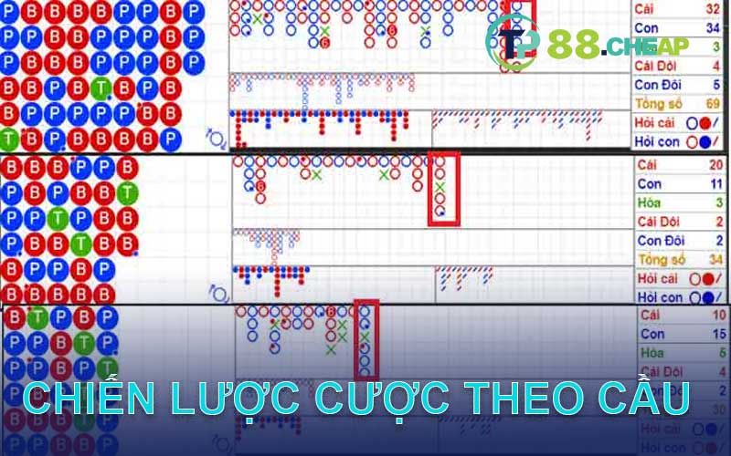 chiến lược đặt cược theo cầu