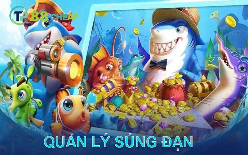 quản lý súng đạn