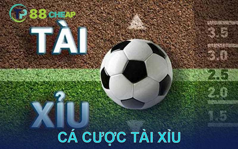 cá cược tài xỉu